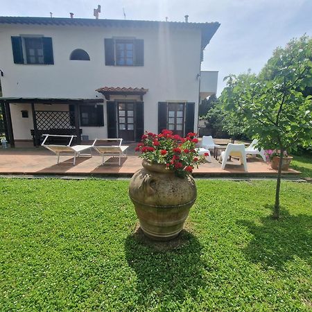 Campo Al Lupo Daire Livorno Dış mekan fotoğraf